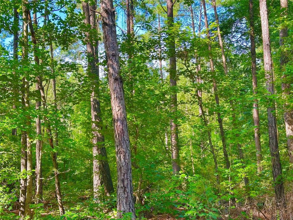 Hwy 808, Haynesville