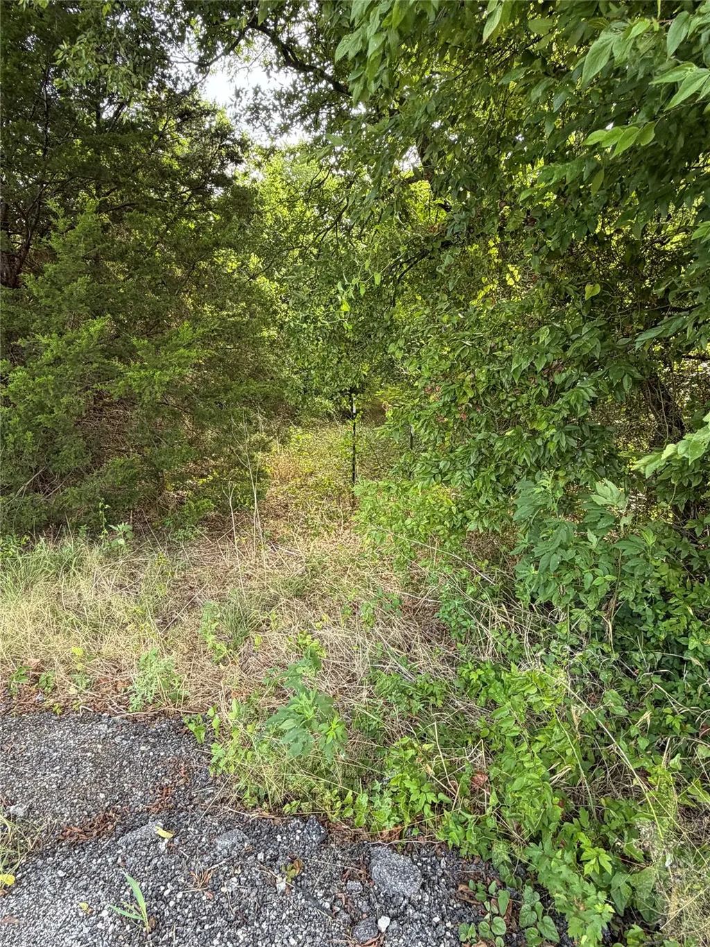 11601 County Road 103, Grandview
