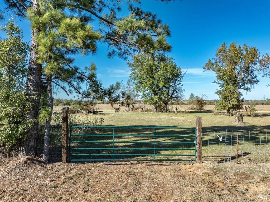 Fm 1651, Canton