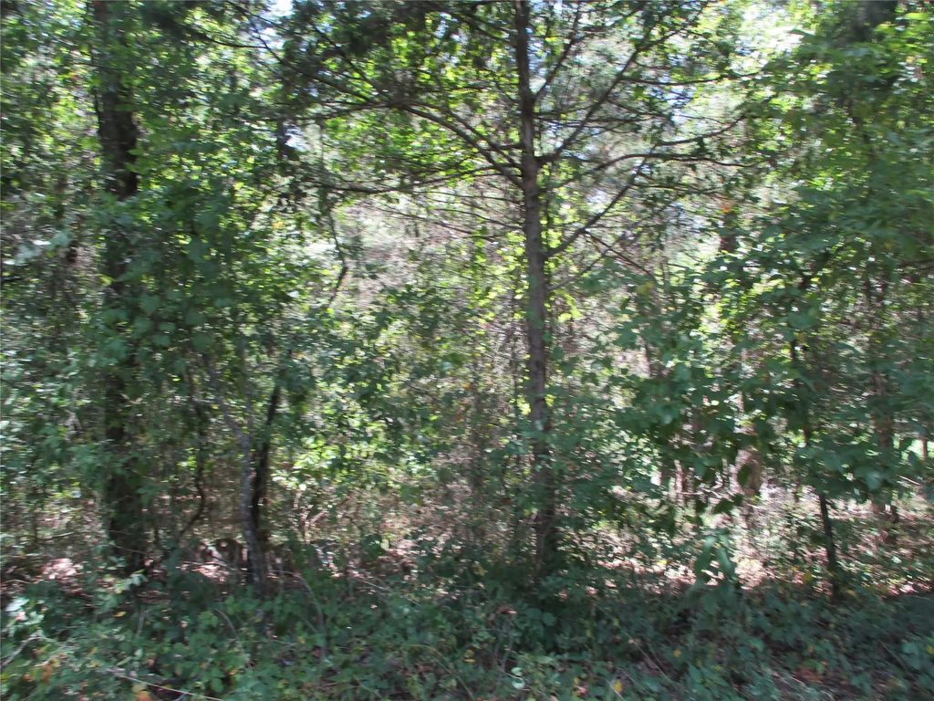 517 Rains County Road 1275, Emory