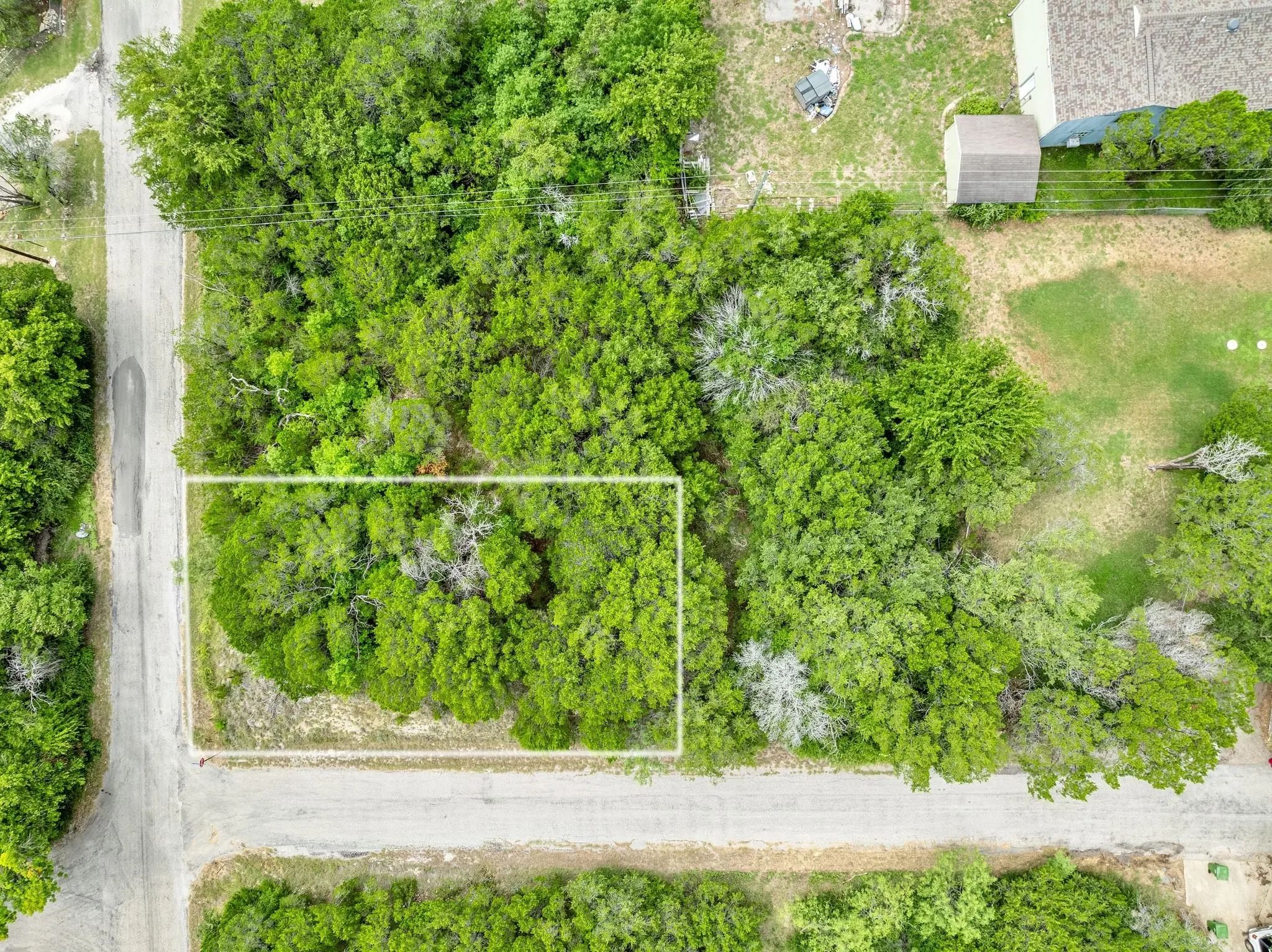 Photo of Listing #21338847