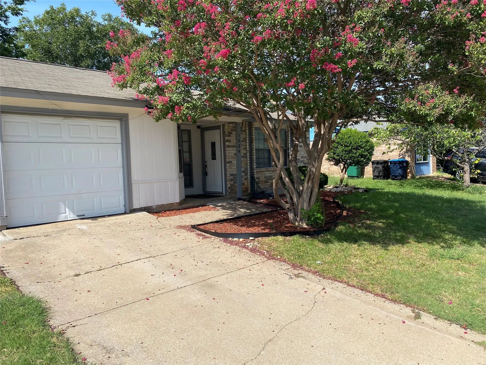 Photo of Listing #21344036