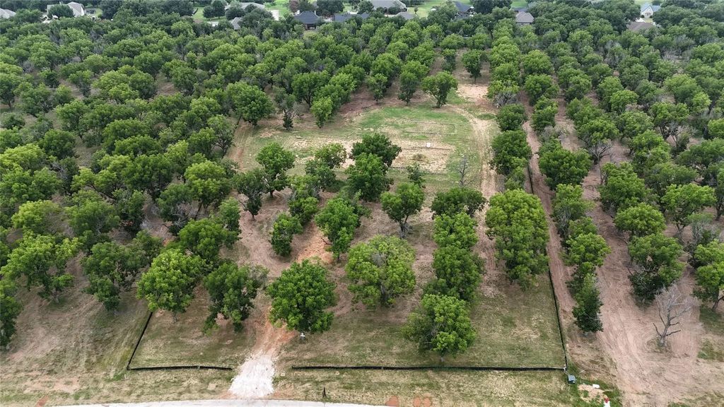 3177 E Landings S, Granbury