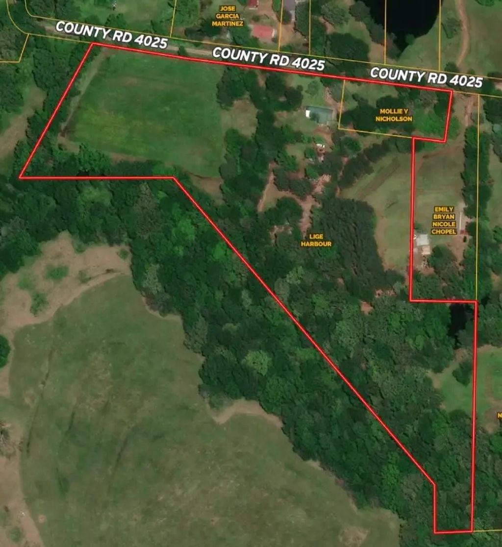 Tbd County Road 4025, Mount Pleasant