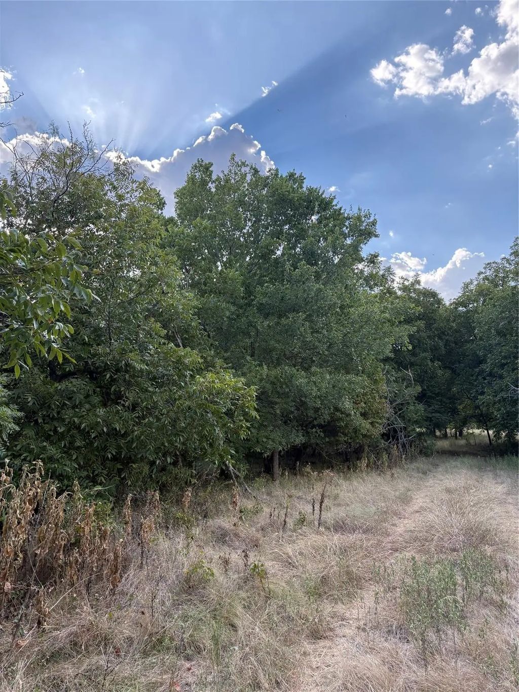271 Wyatt Road, Jacksboro