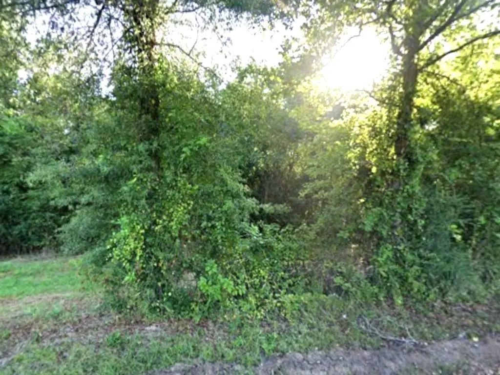 County Rd 224, Carthage
