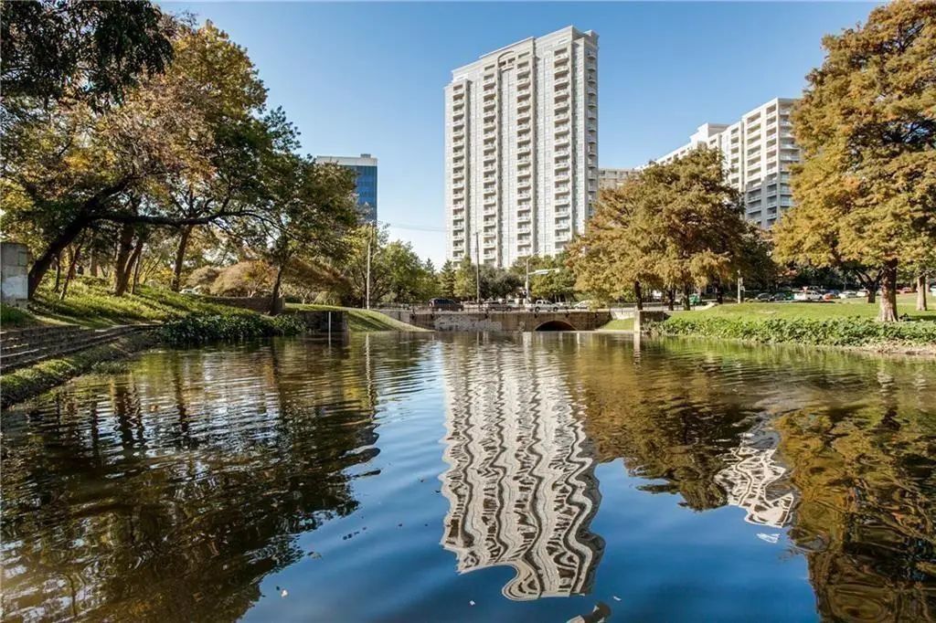 3225 Turtle Creek Boulevard 1429, Dallas