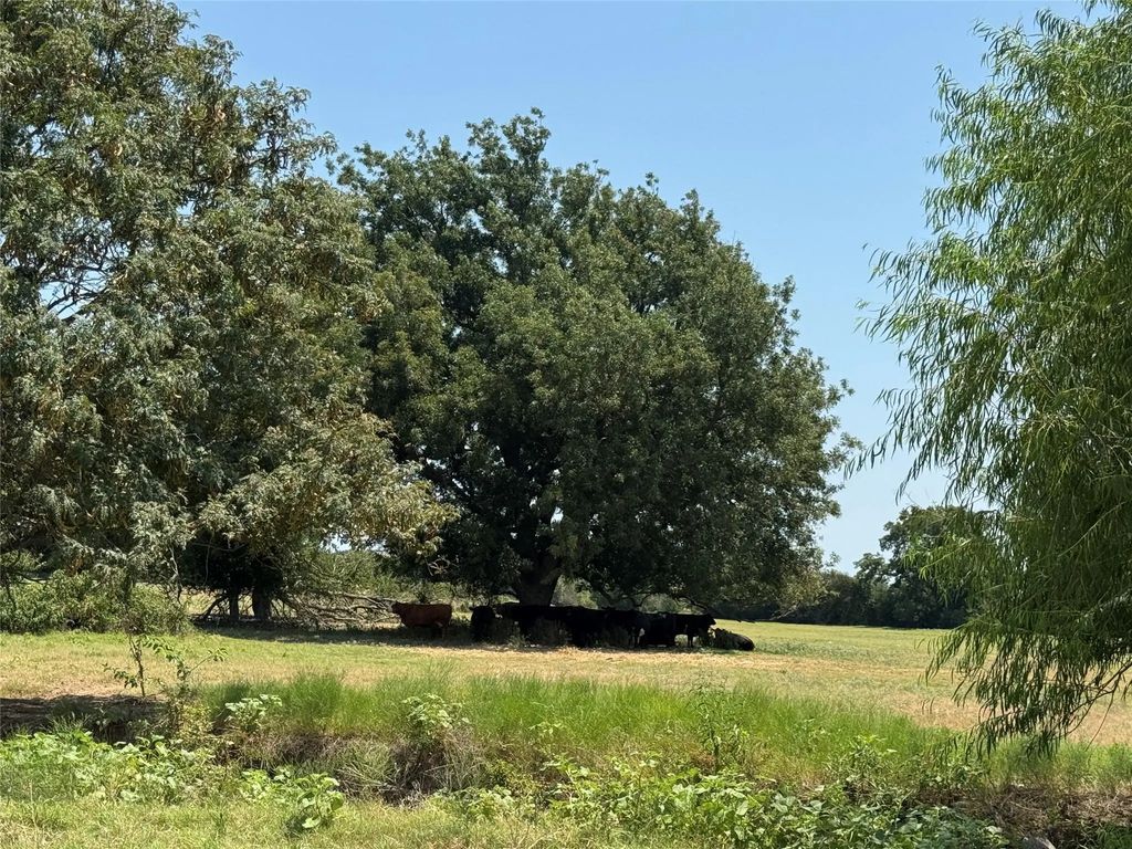 2800 W Highway 82, Gainesville