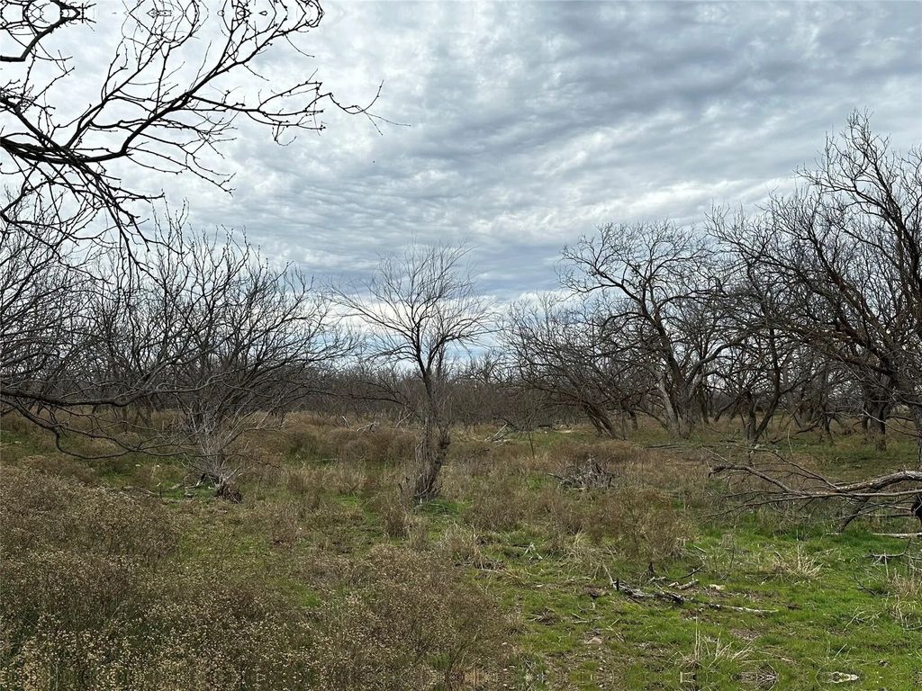 Tract 13 Ac Cr 105, Abilene