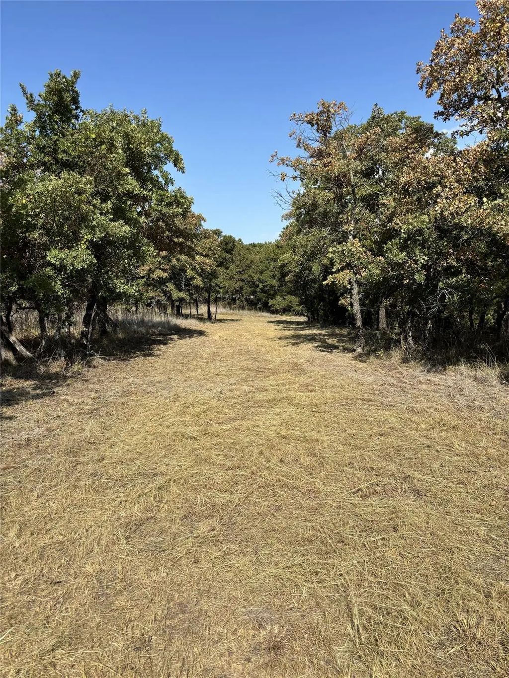 Lot 168 Post Oak Cove, Sunset