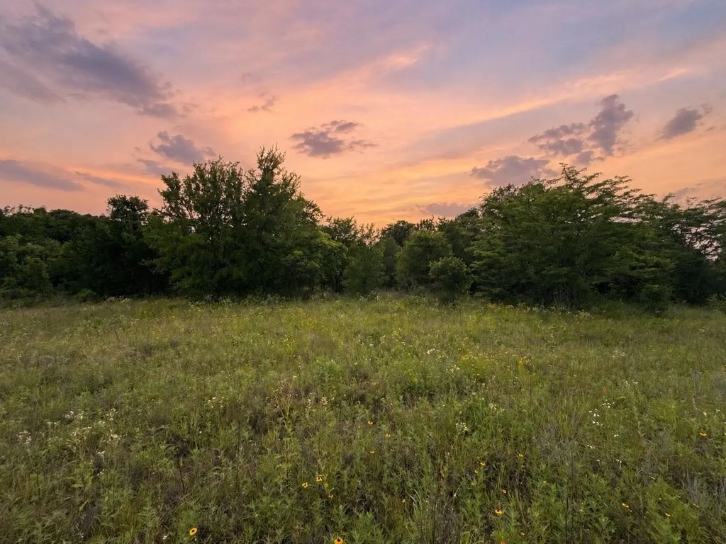 316 County Road 458, De Leon