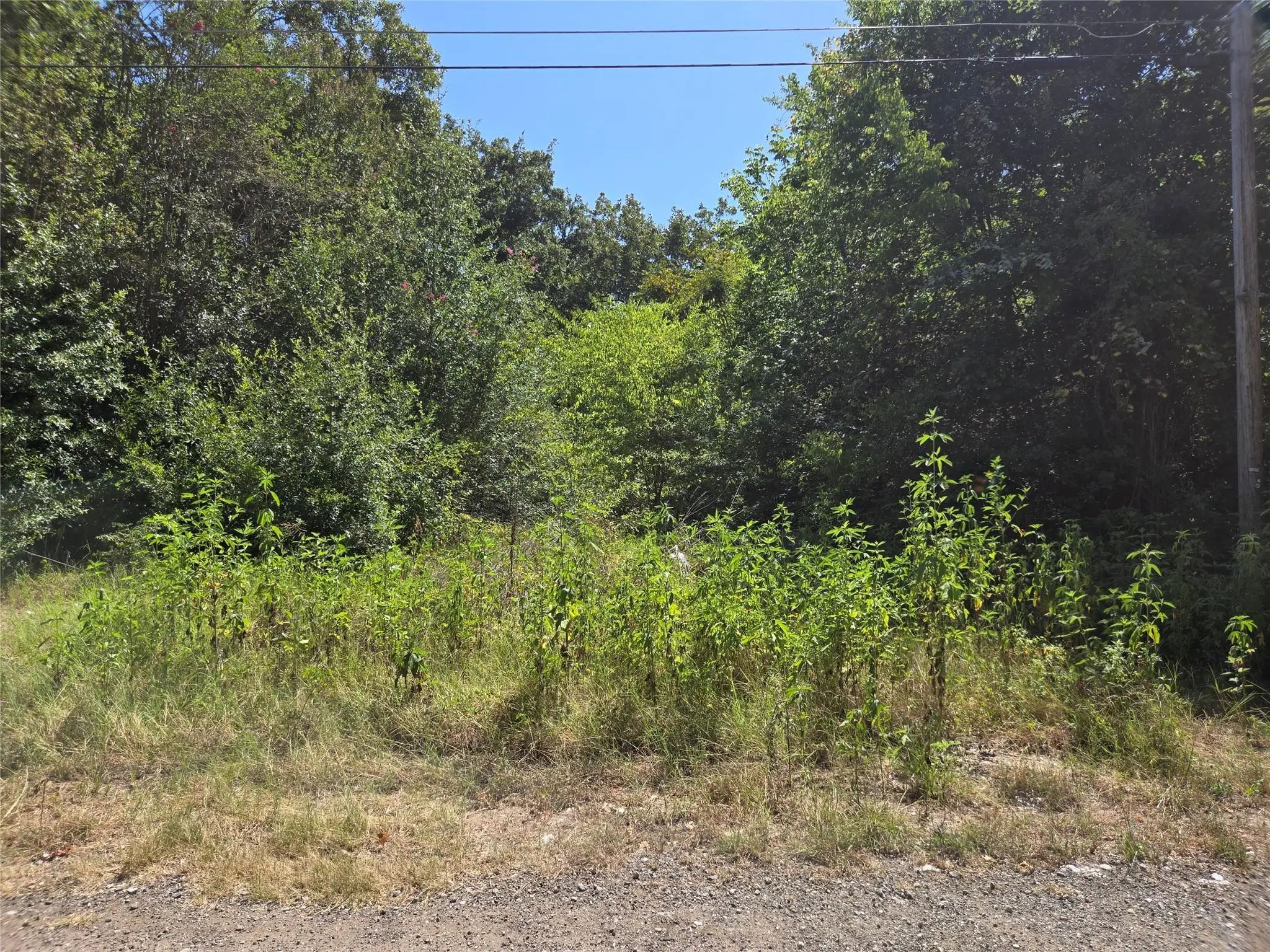 Photo of Listing #21361758