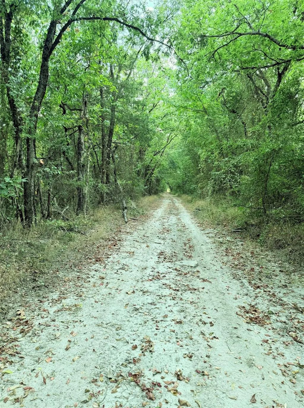 6343 County Road 4727, Wolfe City
