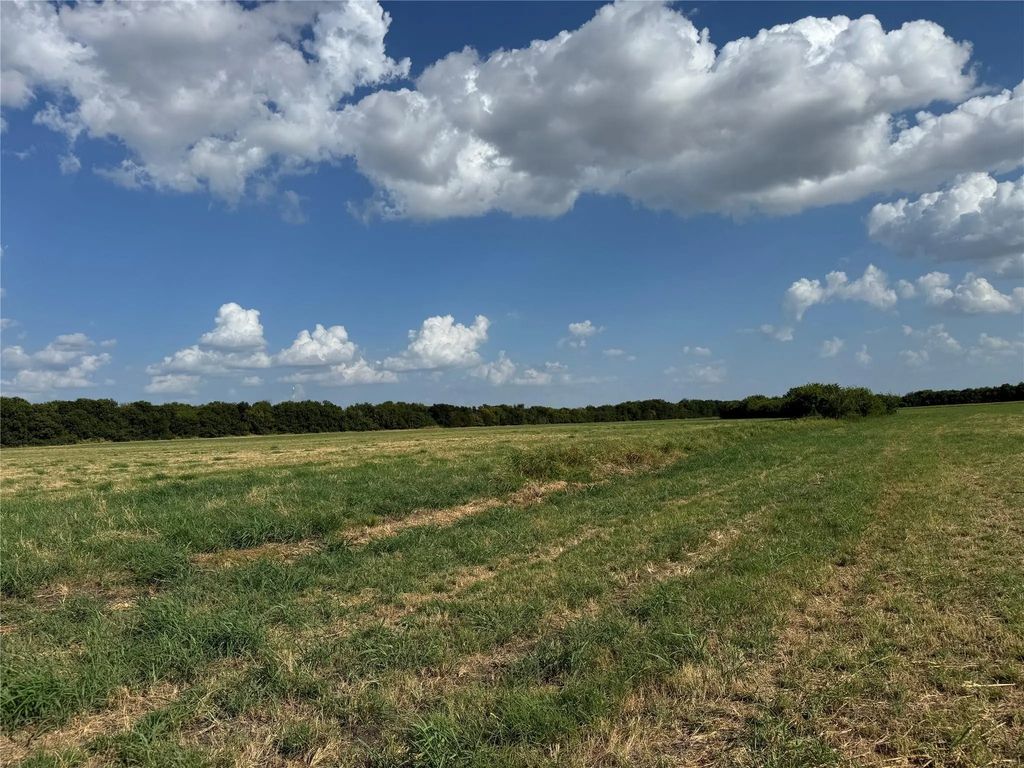Tract 8, 13.103 Acres County Rd 3700, Leonard