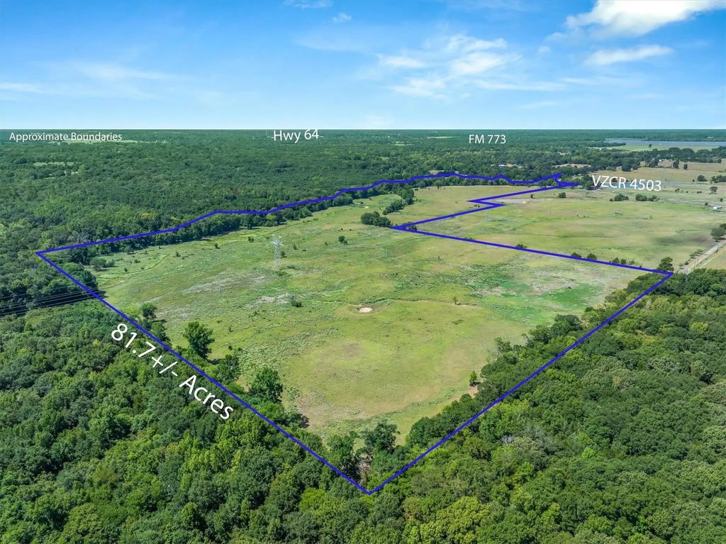 Tbd Vz County Road 4503, Ben Wheeler