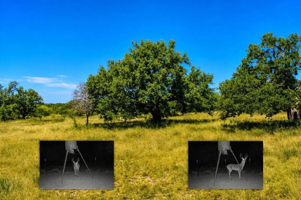 129 Big Buck Run Road, No City