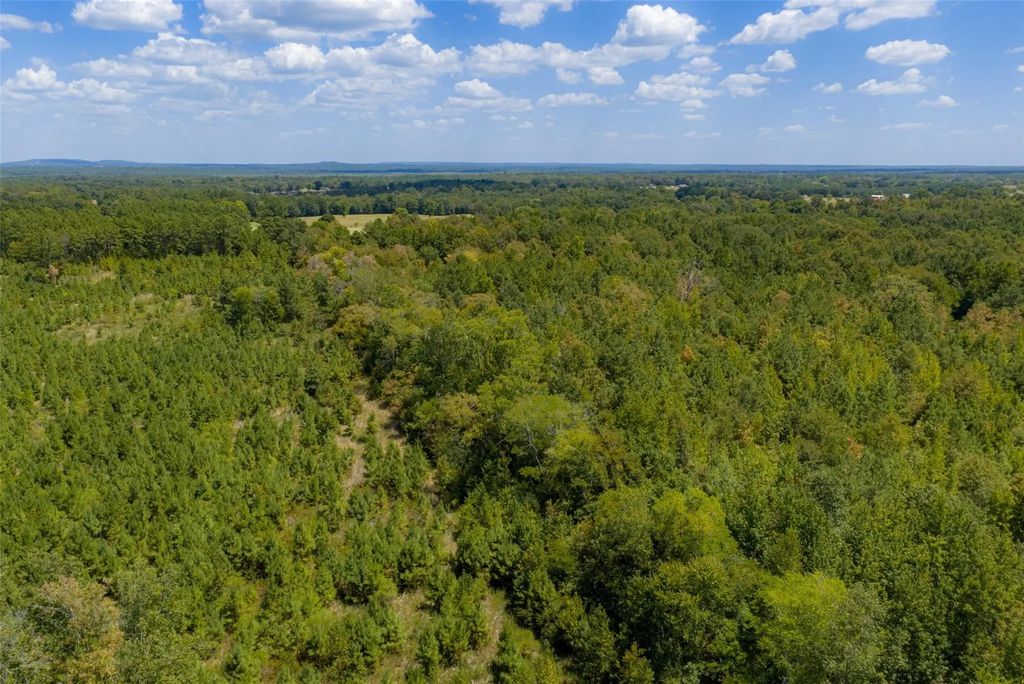 N County Road 1207, Rusk