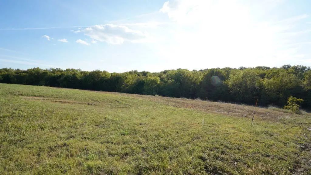 14215 County Road 606 Lot 2, Farmersville