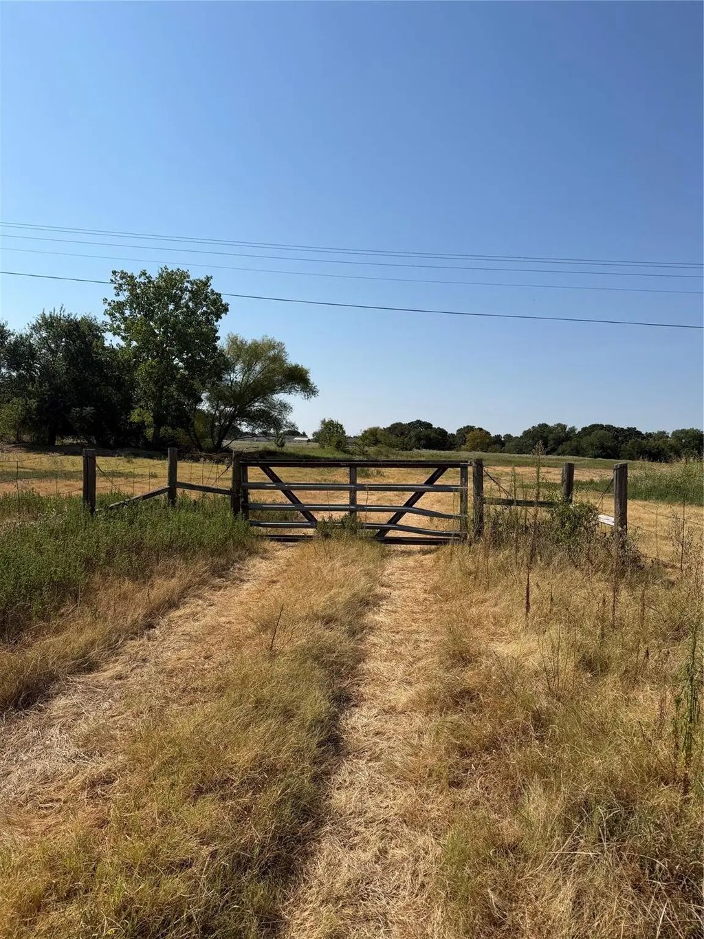 Tbd County Road 3707, Wills Point
