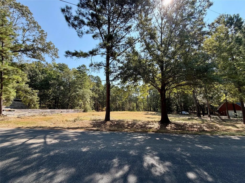 18084 Deer Trail, Flint