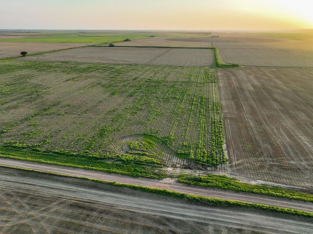 125 County Road 272, Weinert