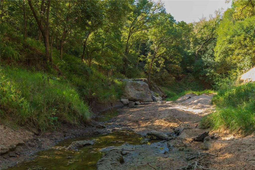 1282 Cr 461, Gorman
