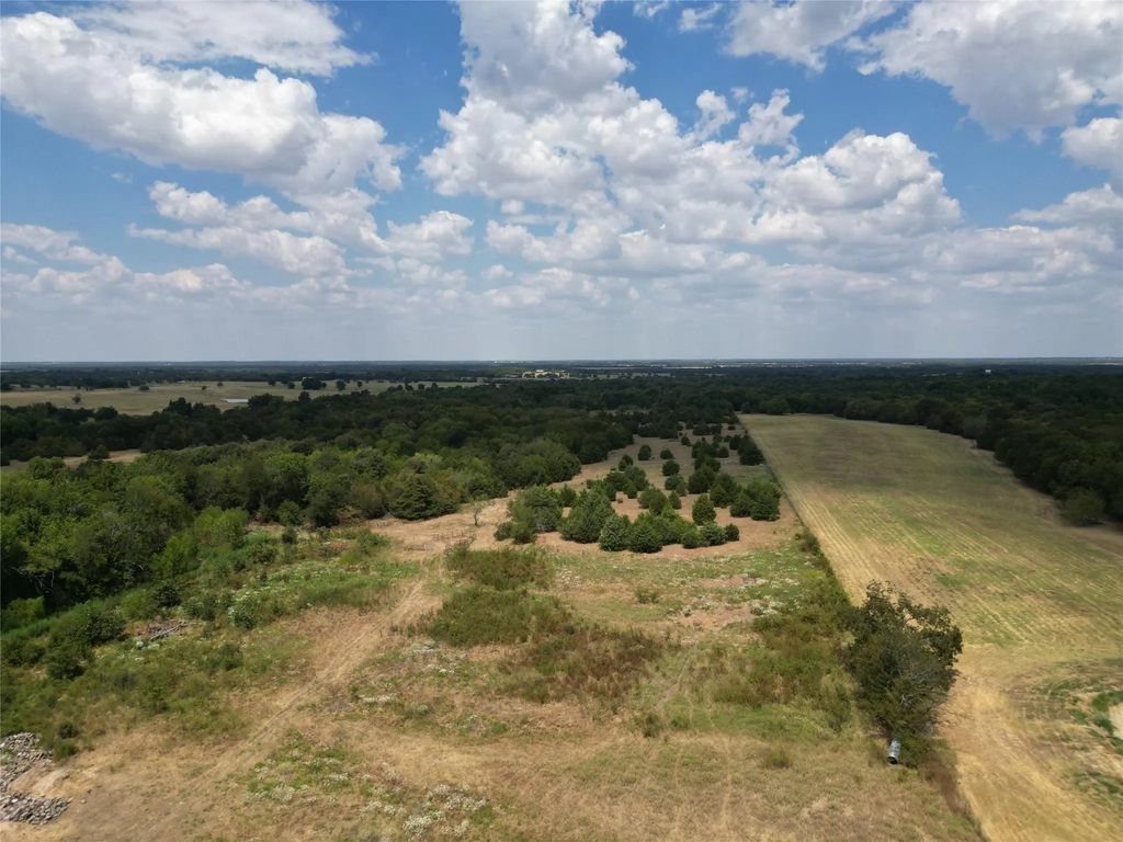 50 Acres County Road 1026, Celeste