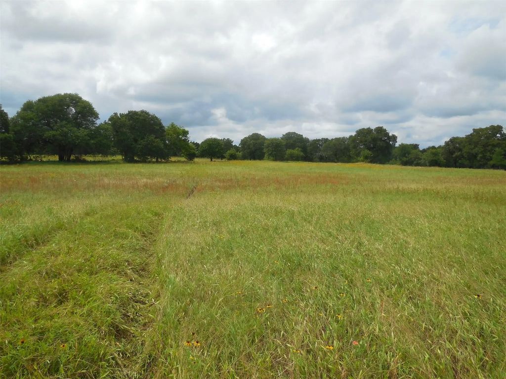 Tbd County Road 488, Ranger