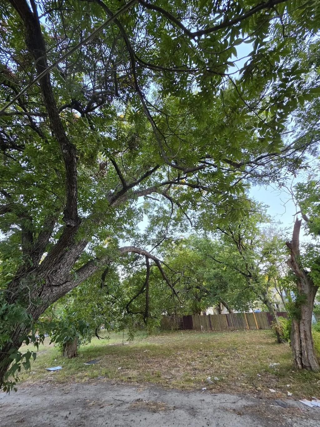 1218 Bliss Street, Dallas