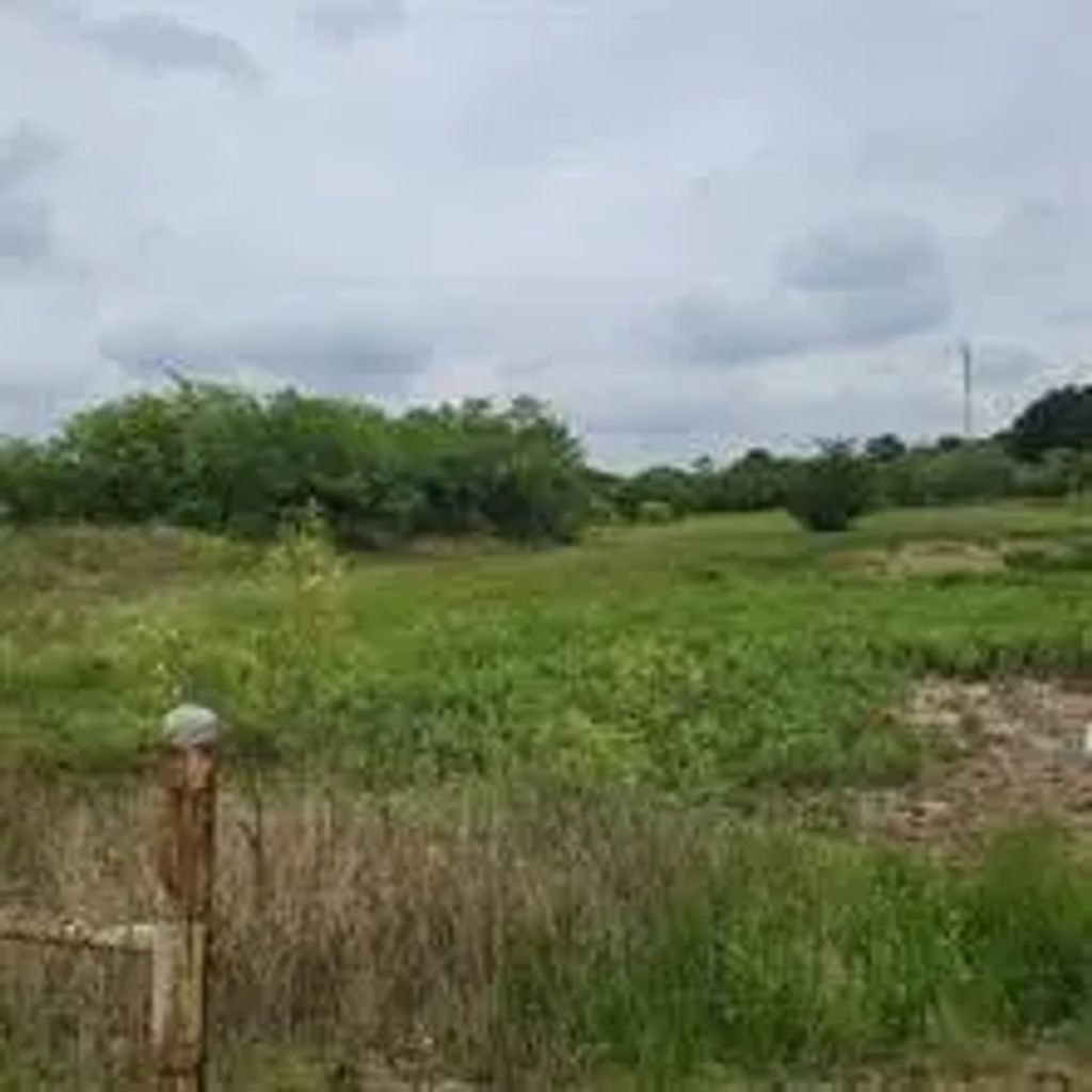 2312 W Fm 917, Joshua
