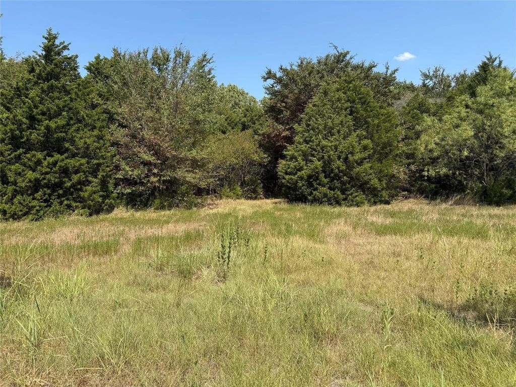 Tbd I-20, Wills Point
