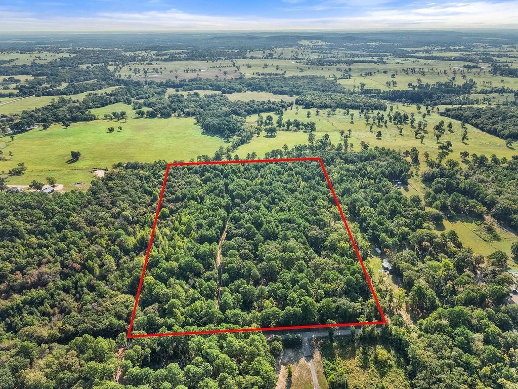 6723 County Road 4837, Larue