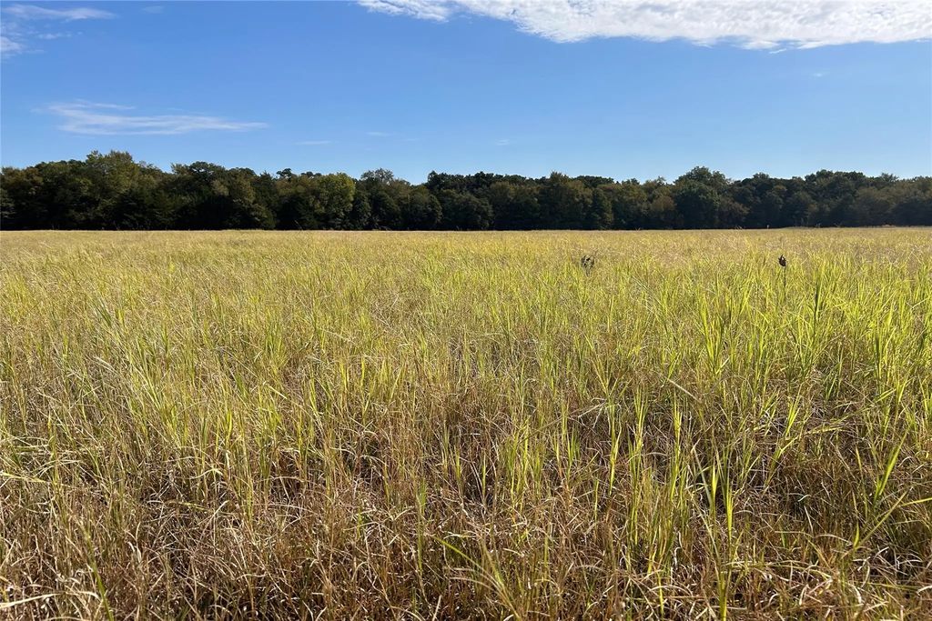 Tbd8 County Road 141, Callisburg