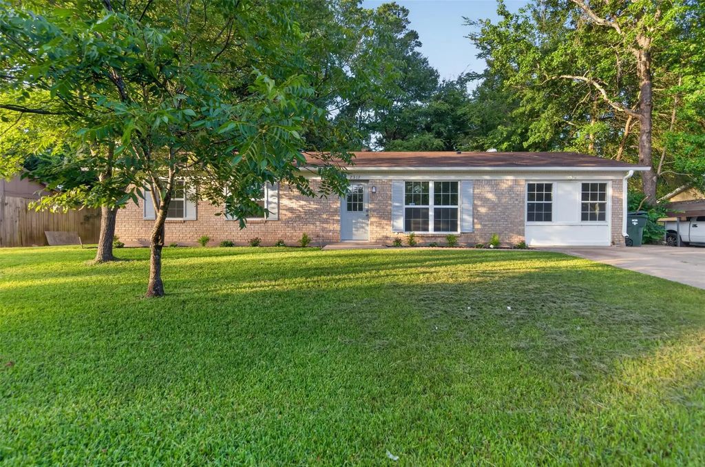 2313 Danica, Tyler
