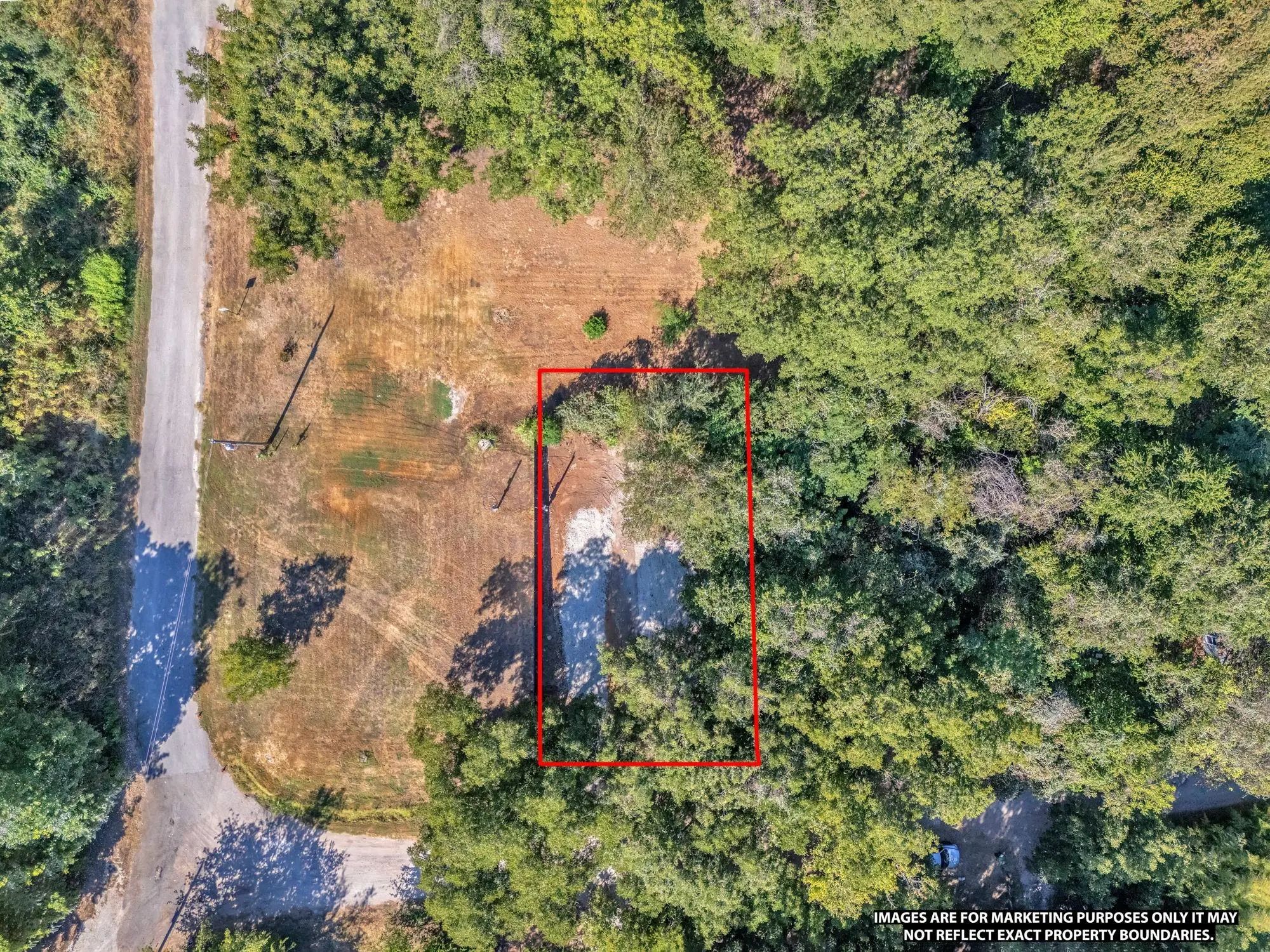 Photo of Listing #21387897