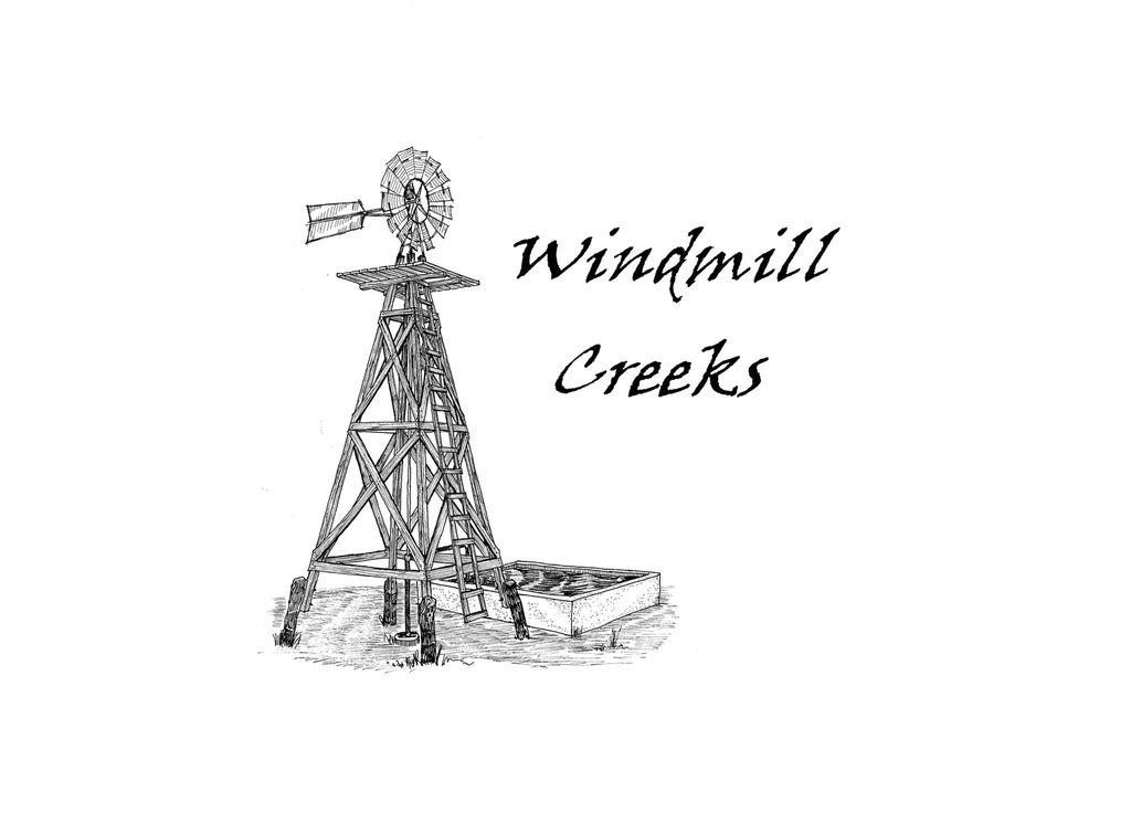 552 Aermotor Loop, Weatherford