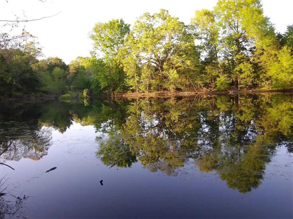 Tbd-c County Road 45400, Paris