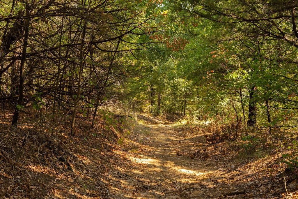 4 Acres Tiffany Lane, Whitesboro