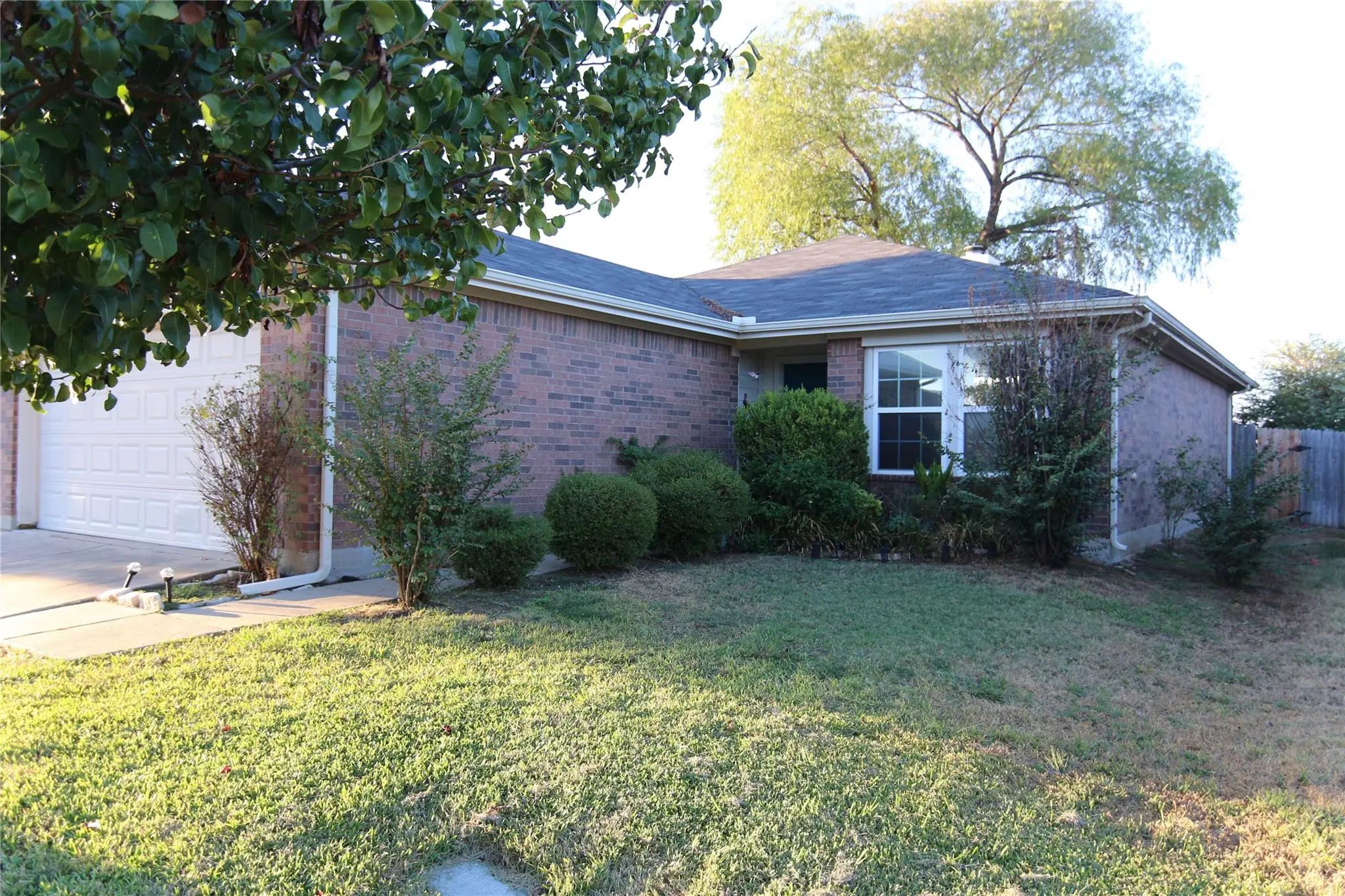 Photo of Listing #21397658