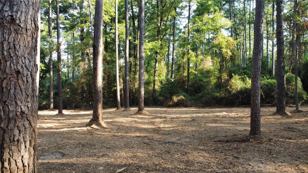 Tbd County Road 192 6, Tyler