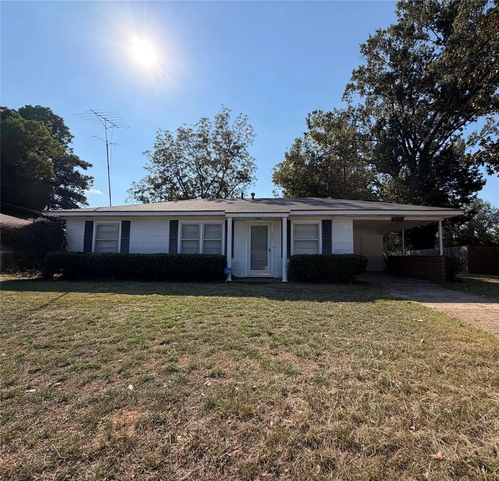507 Torbet Drive, Homer
