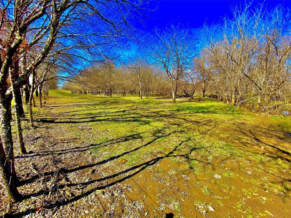 9507 County Road 513, Alvarado