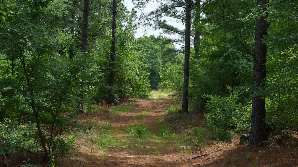 Tbd State Highway 64 2, Ben Wheeler