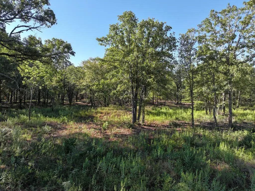 8602 Cr 2448, Kemp