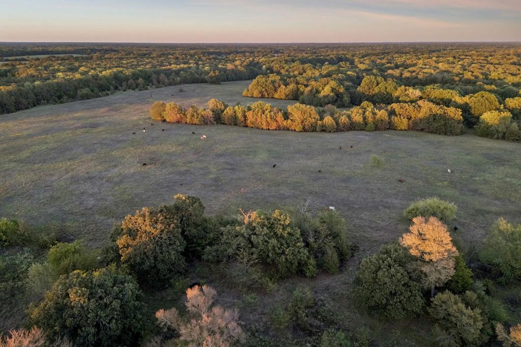 Tbd Rs County Road 4310, Point