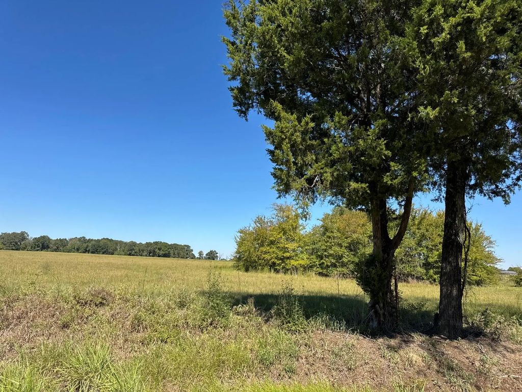 Lot 8 County Road 2922, Eustace