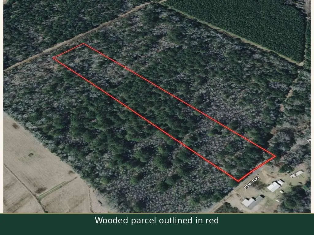 Photo of Listing #21421841