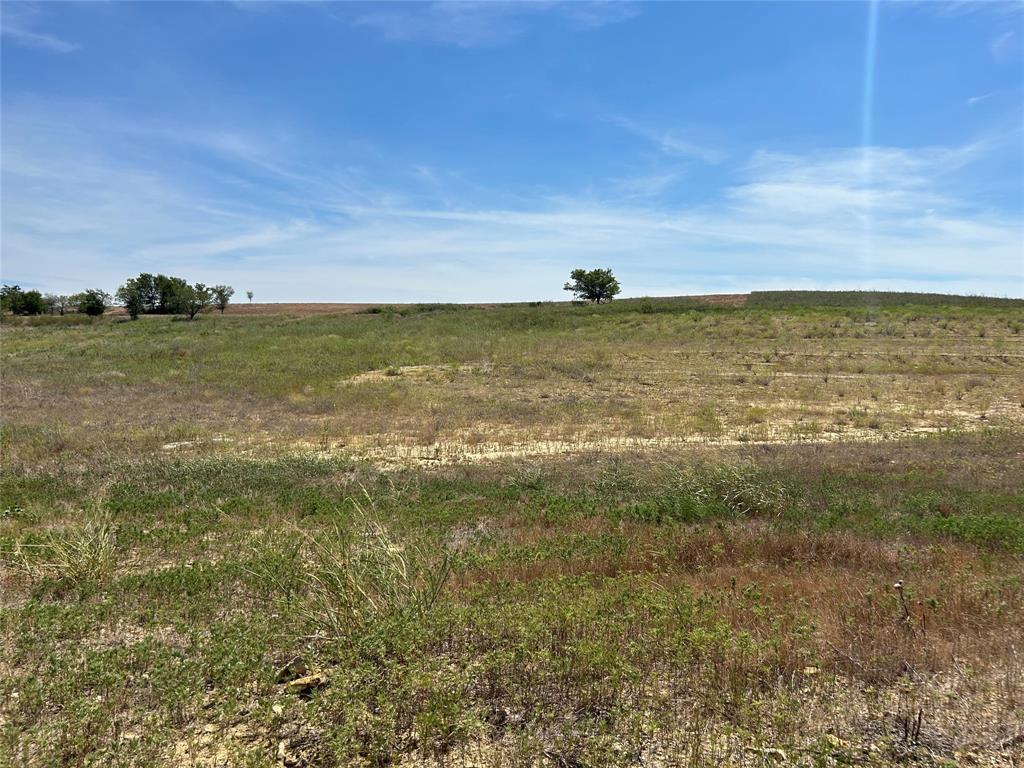 Photo of Listing #20798994