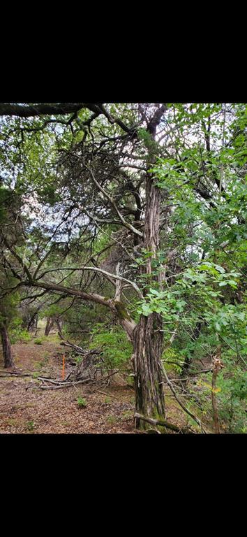 Photo of Listing #20877590