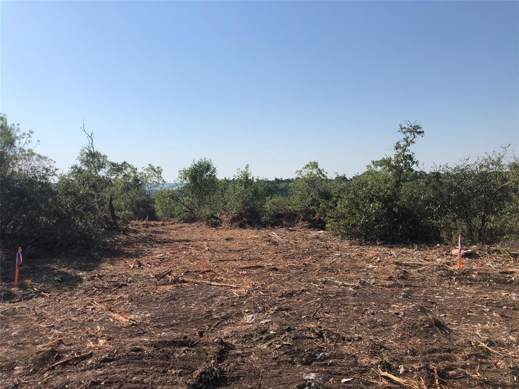 Photo of Listing #20879022